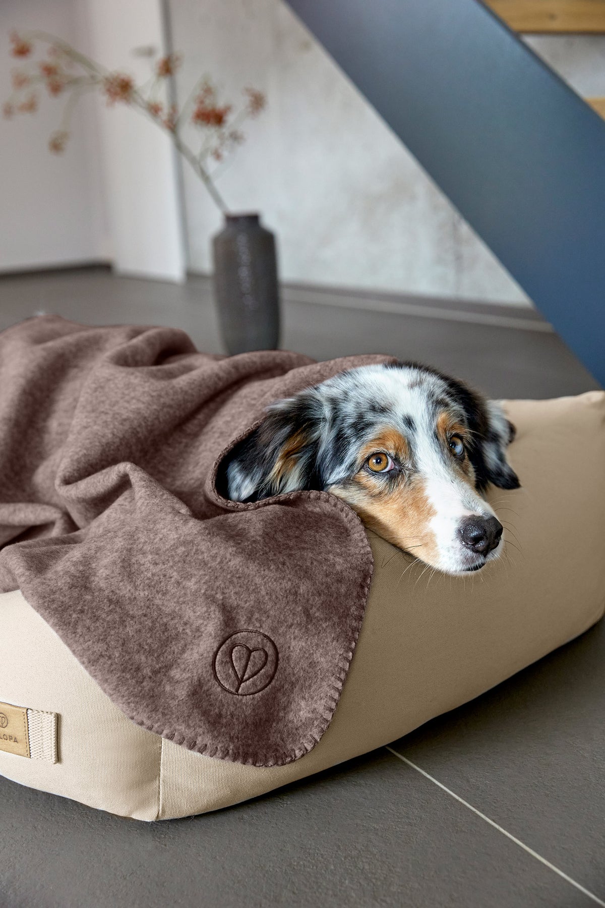 Palopa Hundedecke Mathilda Walnuss duenne Hundedecke