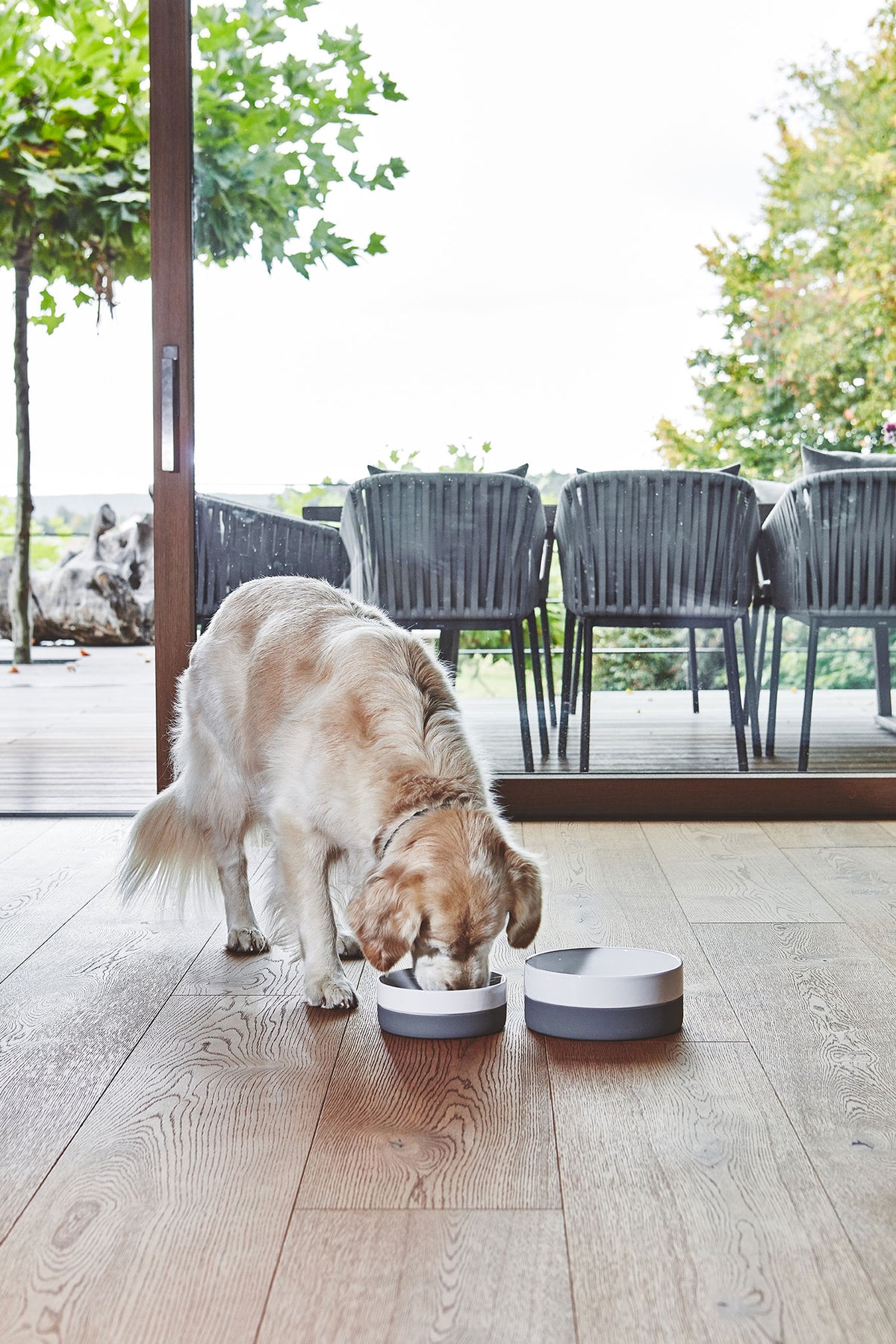MiaCara Coppa Napf Schiefer Napf Hund 