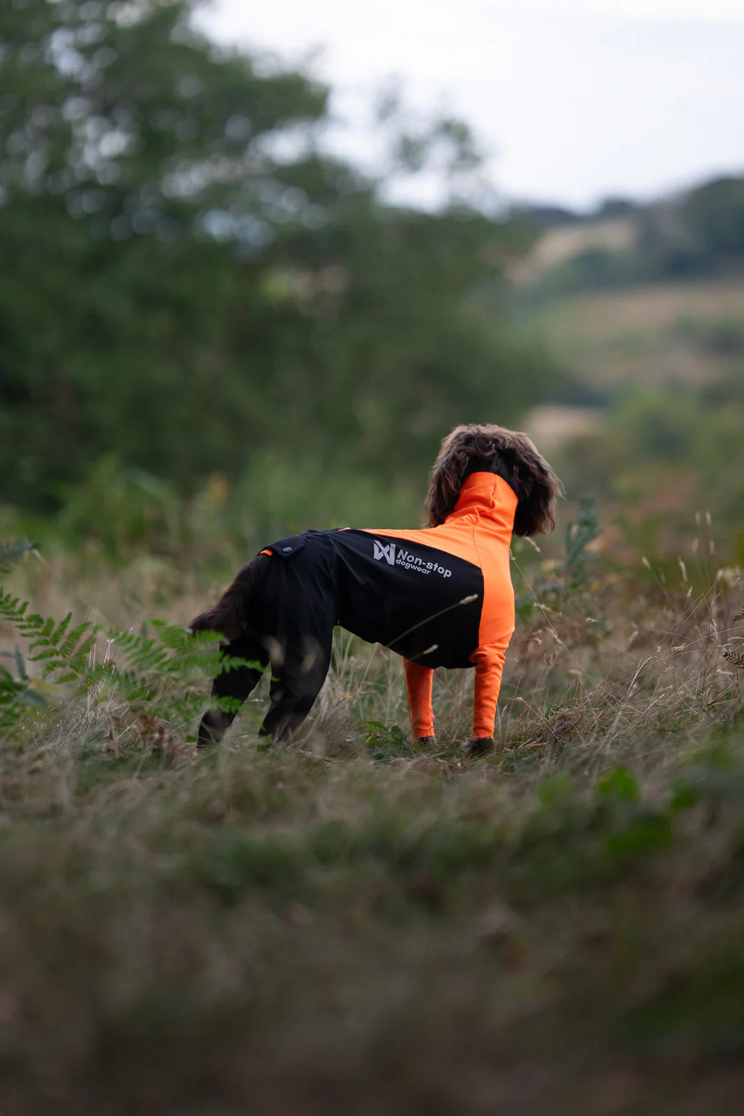 Non-stop dogwear Protector Suit Schutzanzug für Hunde 