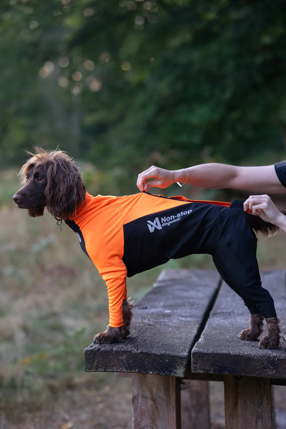 Non-stop dogwear Protector Suit Schutzmantel Anzug Hund 