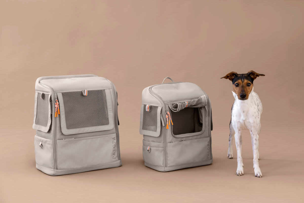 PALOPA Hundetragerucksack Kari Taupe Hunde Rucksack