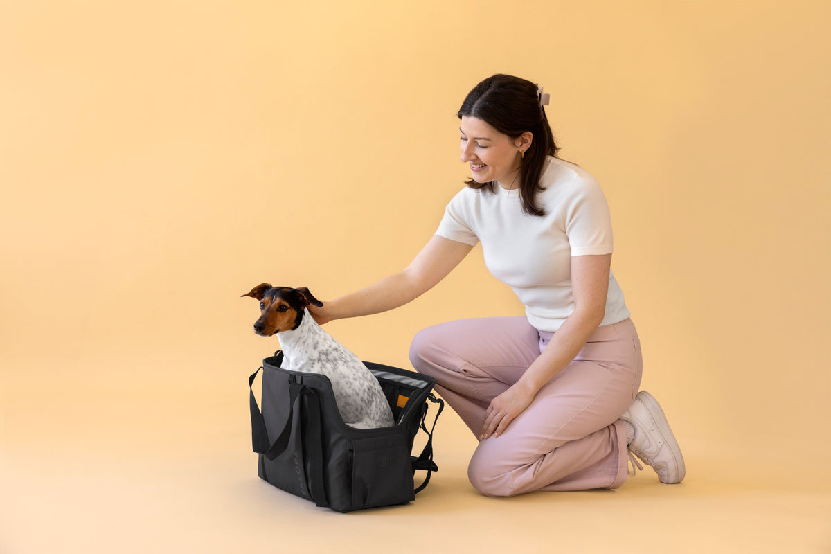 PALOPA Hundetragetasche Weda Schwarz Hundetragetasche 
