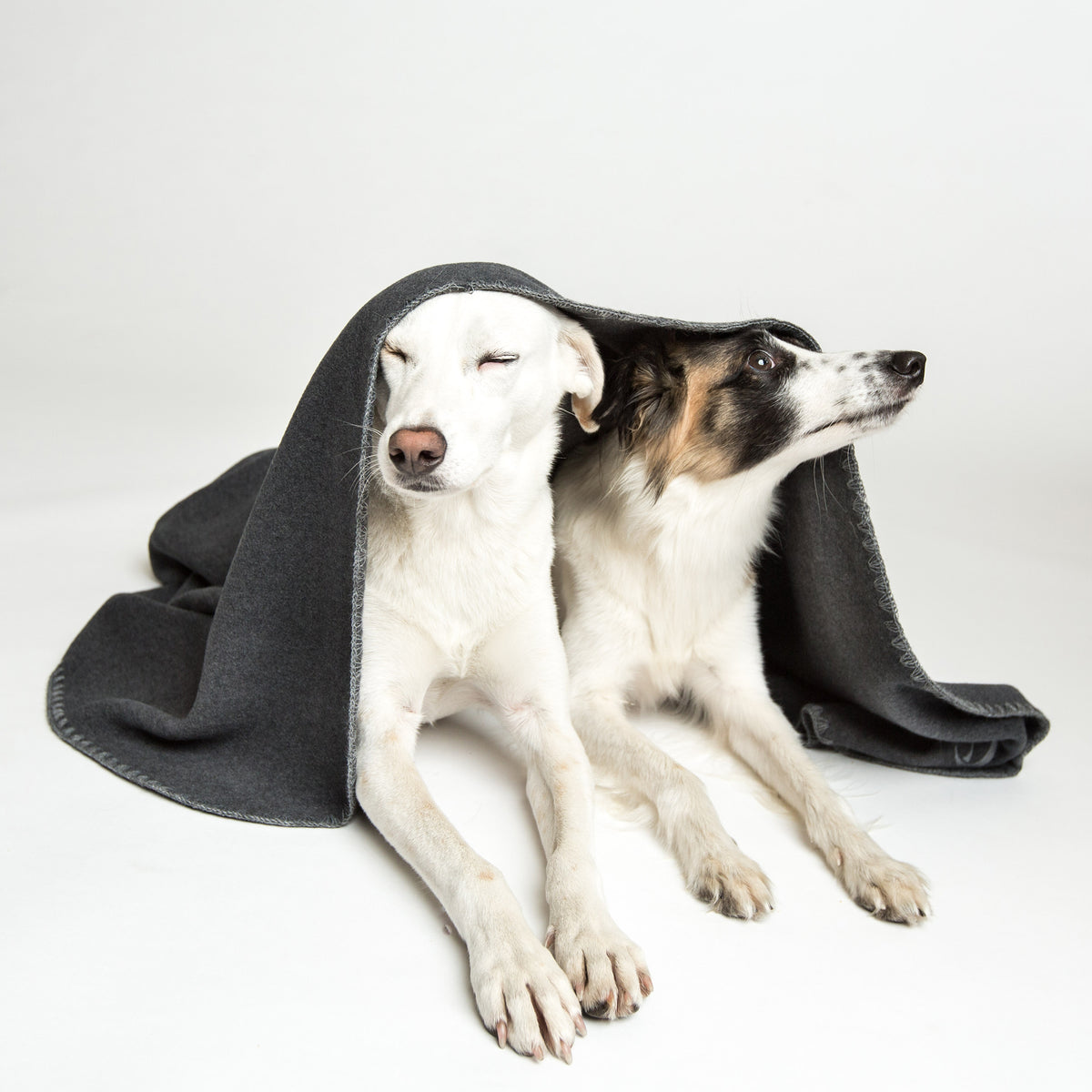 Cloud7 Hundedecke Soft Fleece Dark Grey